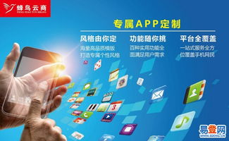 厦门网站开发与软件定制 漳州易登网的专业外包服务解读